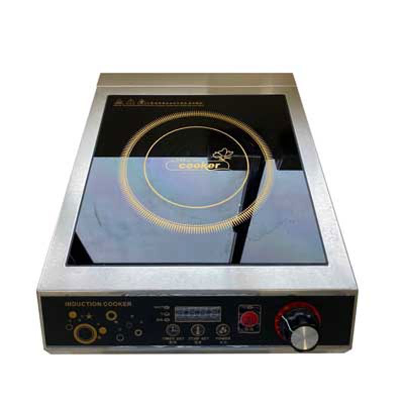  Induction Cooker